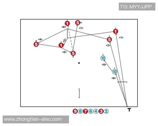 深入分析成都排球队的反击战术及其在比赛中的应用效果
